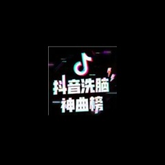 网络神曲