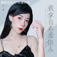 我拿青春爱错人Dj