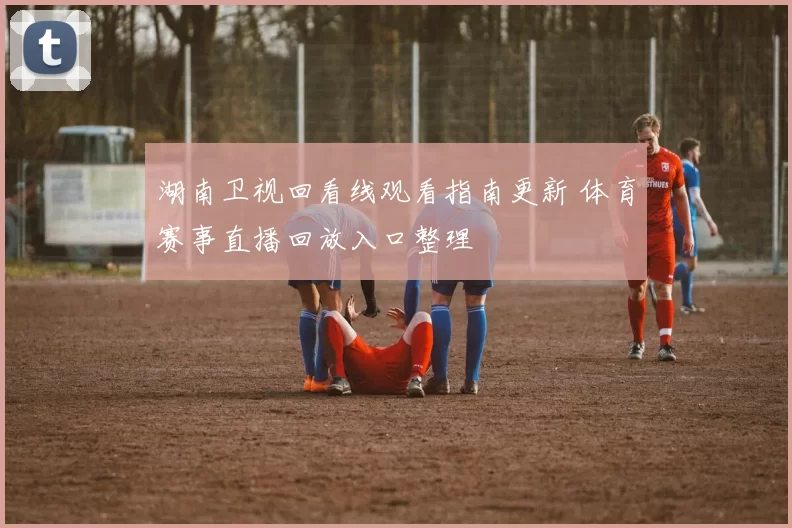 湖南卫视回看线观看指南更新 体育赛事直播回放入口整理