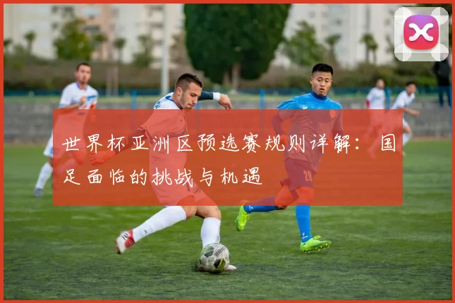 世界杯亚洲区预选赛规则详解：国足面临的挑战与机遇