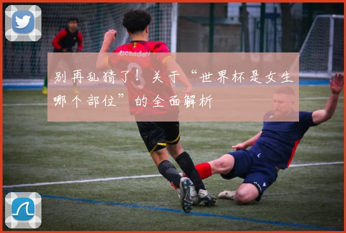 别再乱猜了！关于“世界杯是女生哪个部位”的全面解析