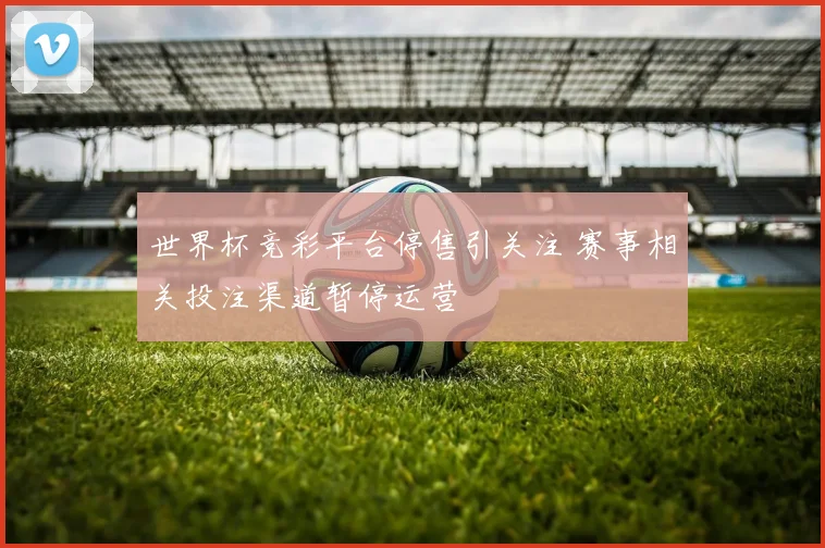 世界杯竞彩平台停售引关注 赛事相关投注渠道暂停运营