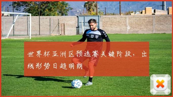 世界杯亚洲区预选赛关键阶段，出线形势日趋明朗