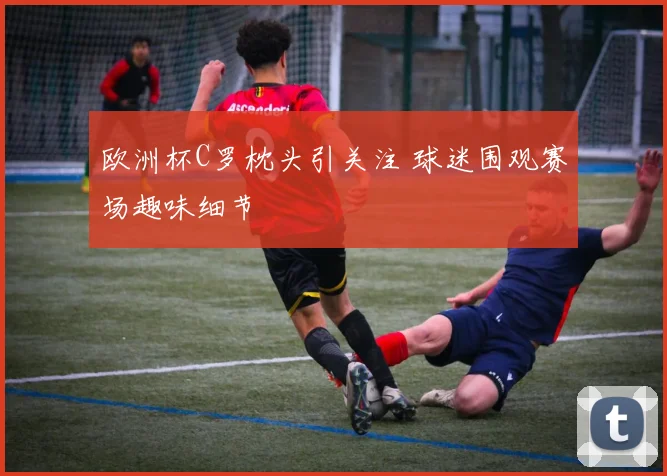 欧洲杯C罗枕头引关注 球迷围观赛场趣味细节