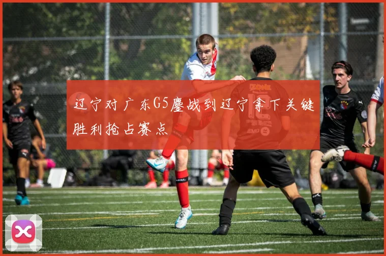 辽宁对广东G5鏖战到辽宁拿下关键胜利抢占赛点