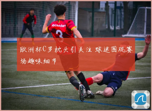 欧洲杯C罗枕头引关注 球迷围观赛场趣味细节