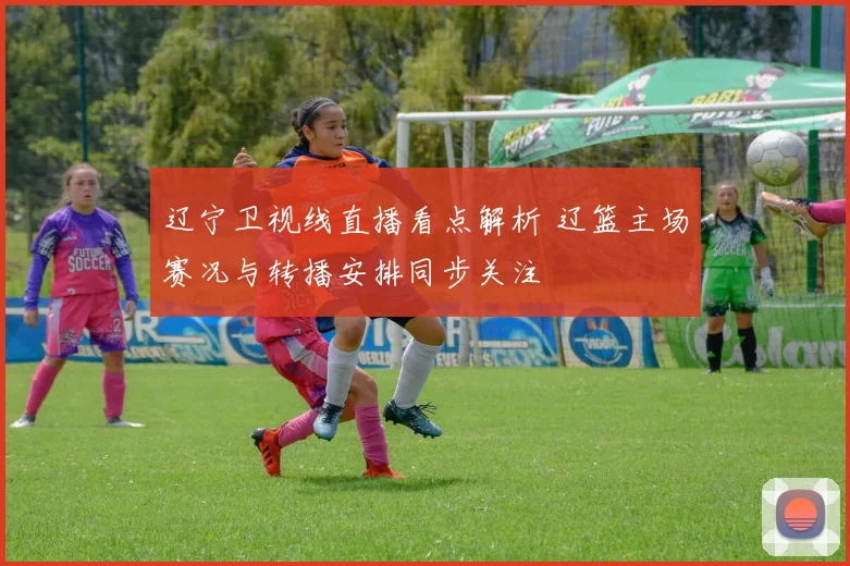 辽宁卫视线直播看点解析 辽篮主场赛况与转播安排同步关注