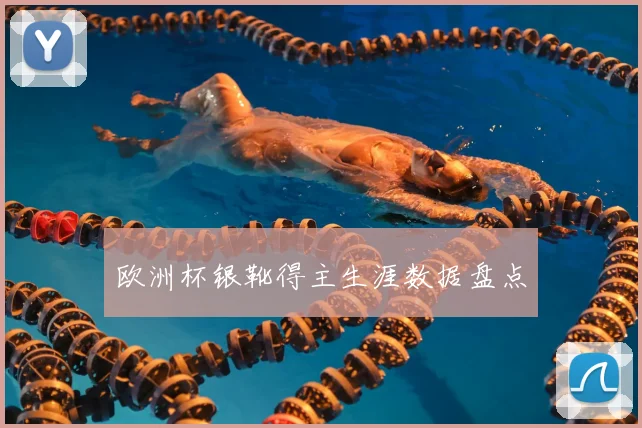 欧洲杯银靴得主生涯数据盘点